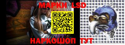 apvp Гусев
